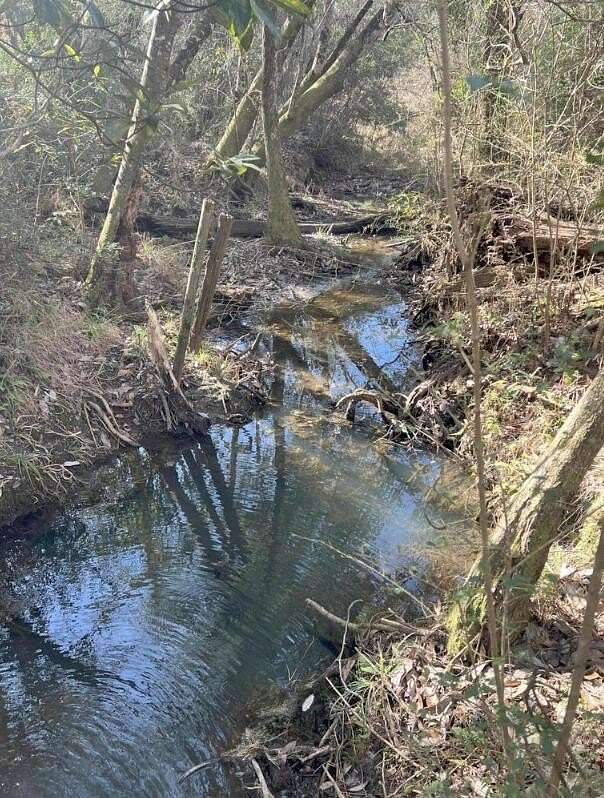 13 Acres of Recreational Land for Sale in Laurel Hill, Florida