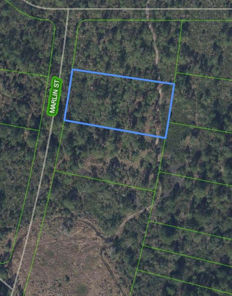 1 Acre of Residential Land for Sale in Lake Placid, Florida