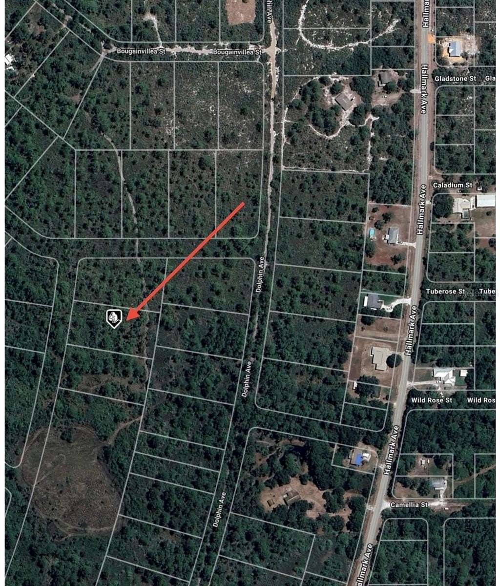 1 Acre of Residential Land for Sale in Lake Placid, Florida