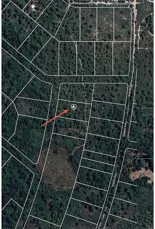 1 Acre of Residential Land for Sale in Lake Placid, Florida