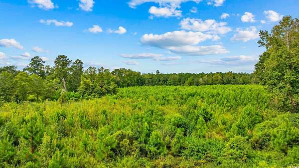 11 Acres of Land for Sale in Loris, South Carolina