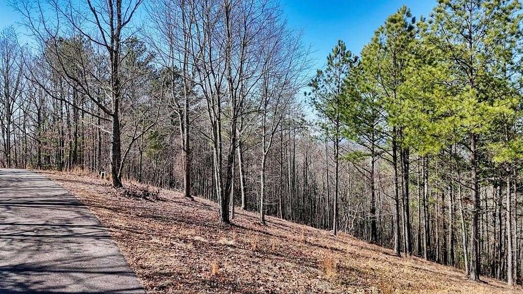 1 Acre of Land for Sale in Blairsville, Georgia