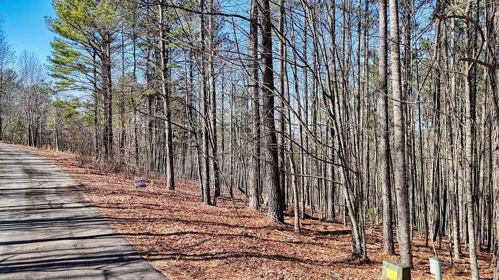 1 Acre of Residential Land for Sale in Blairsville, Georgia