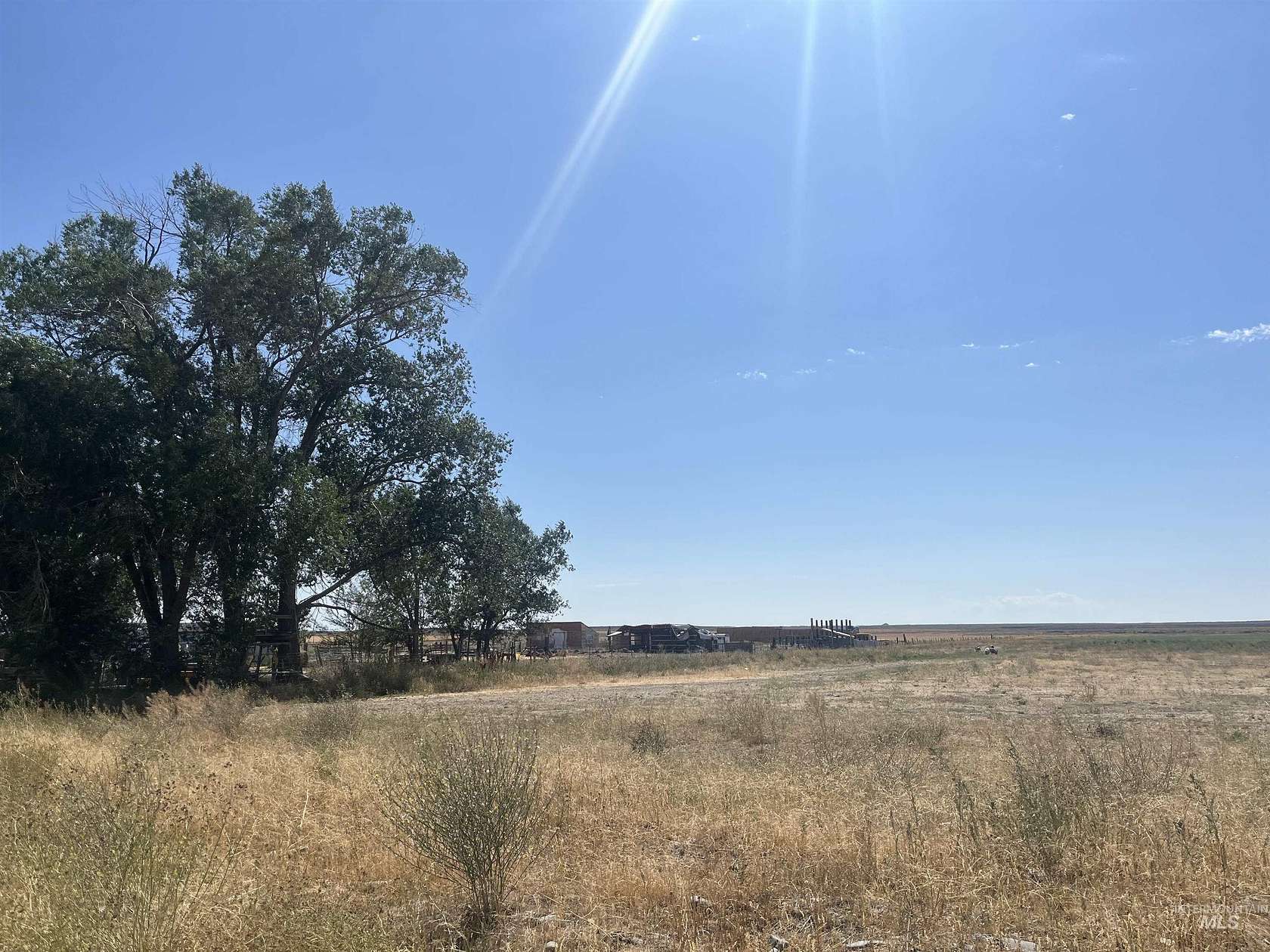 80 Acres of Improved Land for Sale in Carey, Idaho
