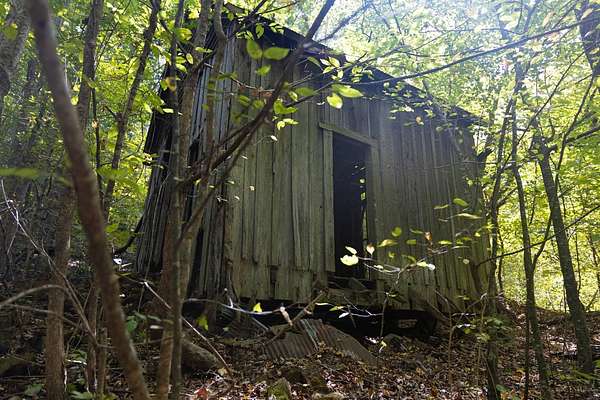 107 Acres of Recreational Land for Sale in Waterloo, Alabama