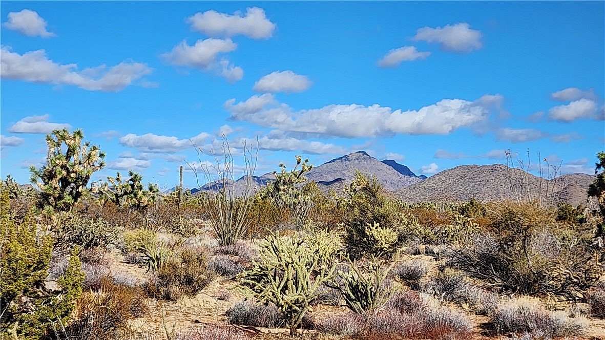 40 Acres of Land for Sale in Yucca, Arizona