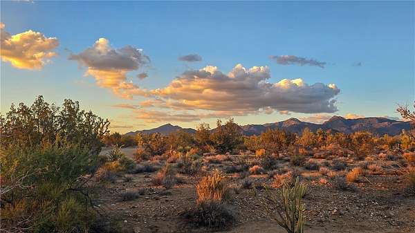 40 Acres of Recreational Land for Sale in Yucca, Arizona
