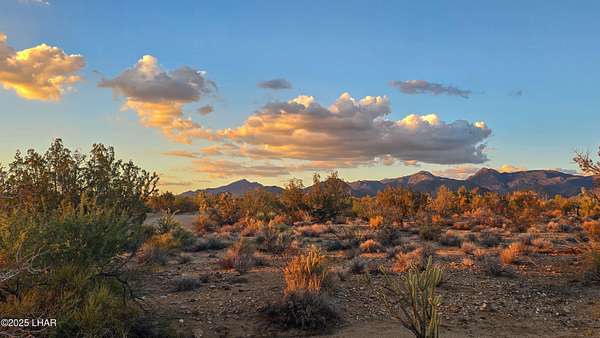 40 Acres of Recreational Land for Sale in Yucca, Arizona