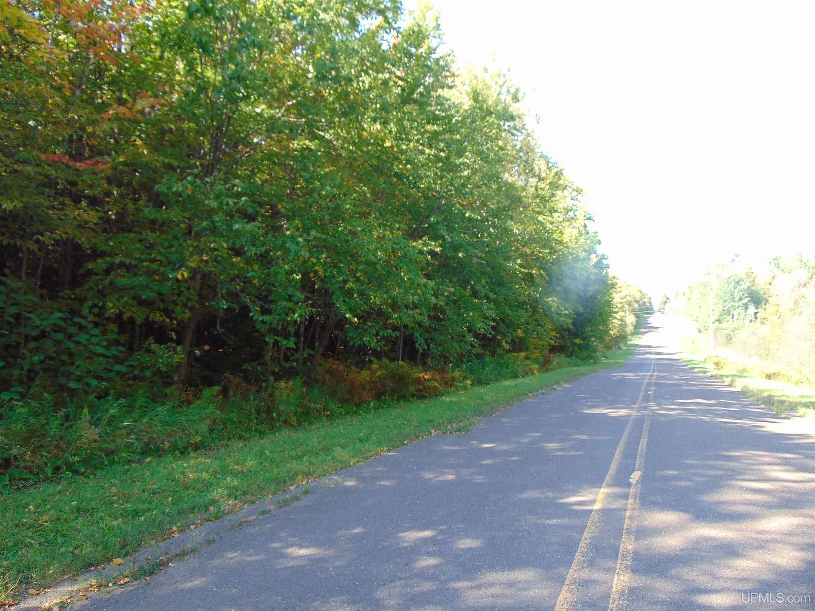 20 Acres of Recreational & Residential Land for Sale in Bessemer, Michigan