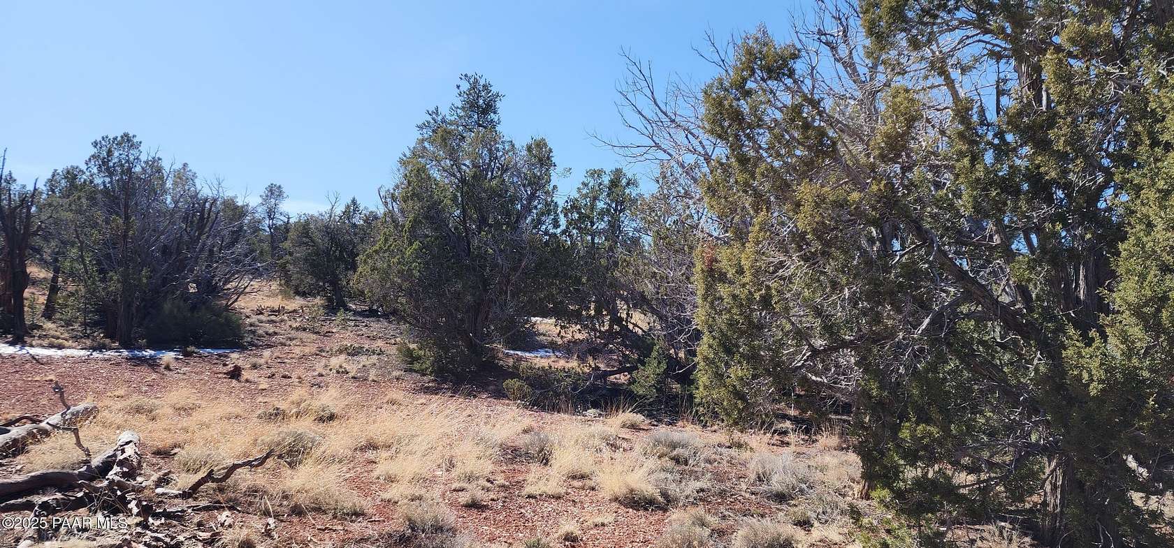 40 Acres of Recreational Land for Sale in Ash Fork, Arizona