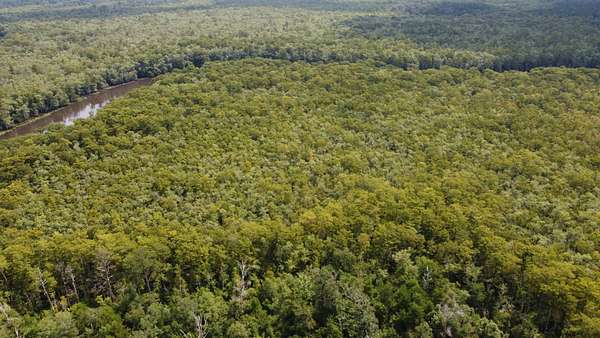 275 Acres of Recreational Land & Farm for Sale in Maurepas, Louisiana