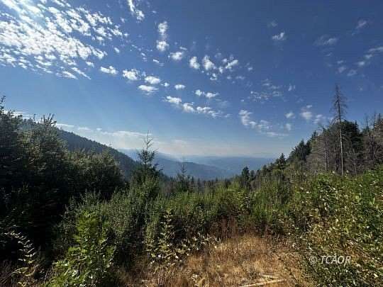 164 Acres of Land for Sale in Willow Creek, California
