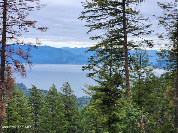 14.8 Acres of Land for Sale in Sagle, Idaho