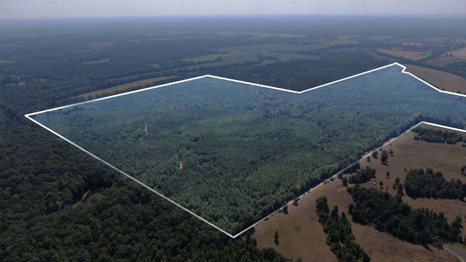 285 Acres of Recreational Land for Sale in Big Creek, Mississippi
