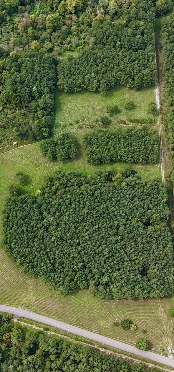 21 Acres of Land for Sale in Oldfort, Tennessee