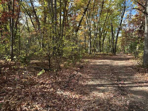 16 Acres of Recreational Land for Sale in Mio, Michigan