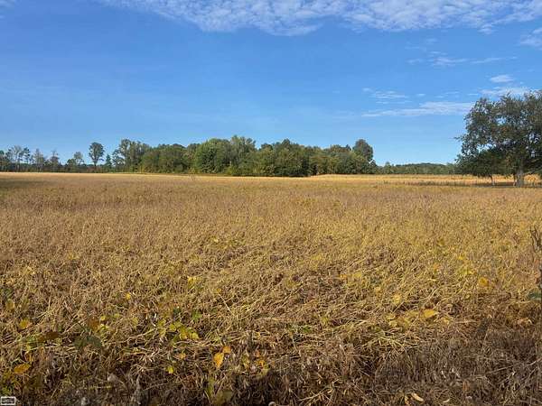 15 Acres of Recreational & Residential Land for Sale in Fort Gratiot, Michigan
