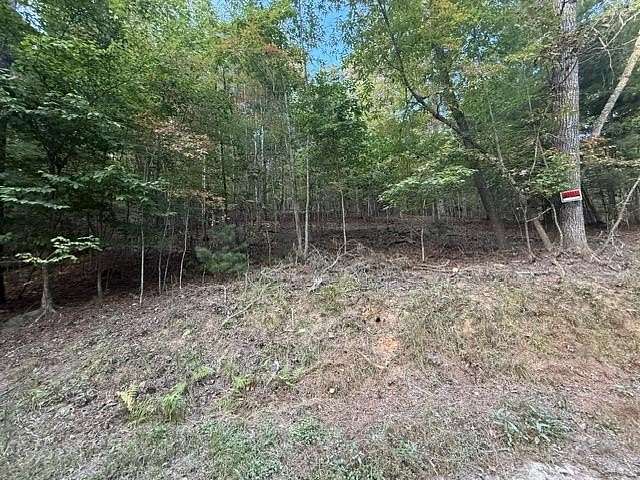 4 Acres of Land for Sale in Mineral Bluff, Georgia
