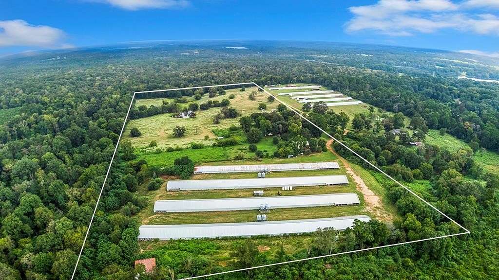 42 Acres of Improved Land for Sale in Nacogdoches, Texas