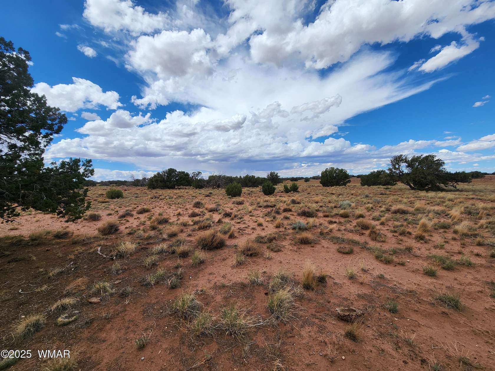 36.7 Acres of Land for Sale in St. Johns, Arizona