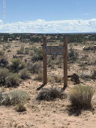 37.2 Acres of Land for Sale in St. Johns, Arizona