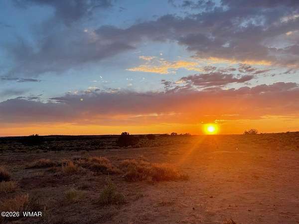 37.2 Acres of Land for Sale in St. Johns, Arizona