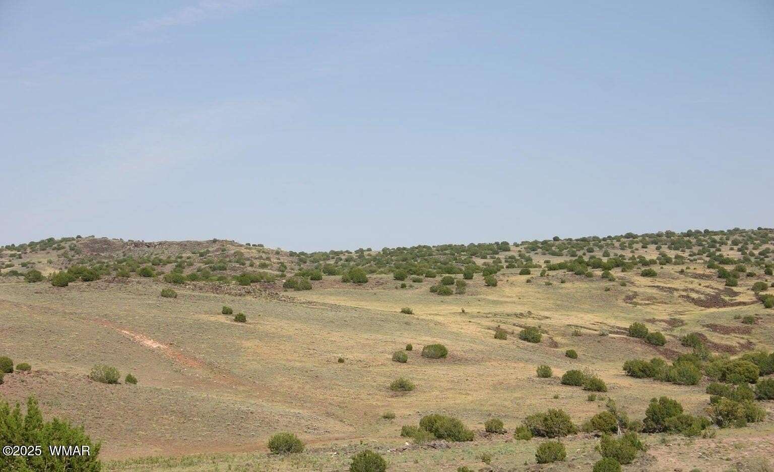 5 Acres of Residential Land for Sale in Concho, Arizona