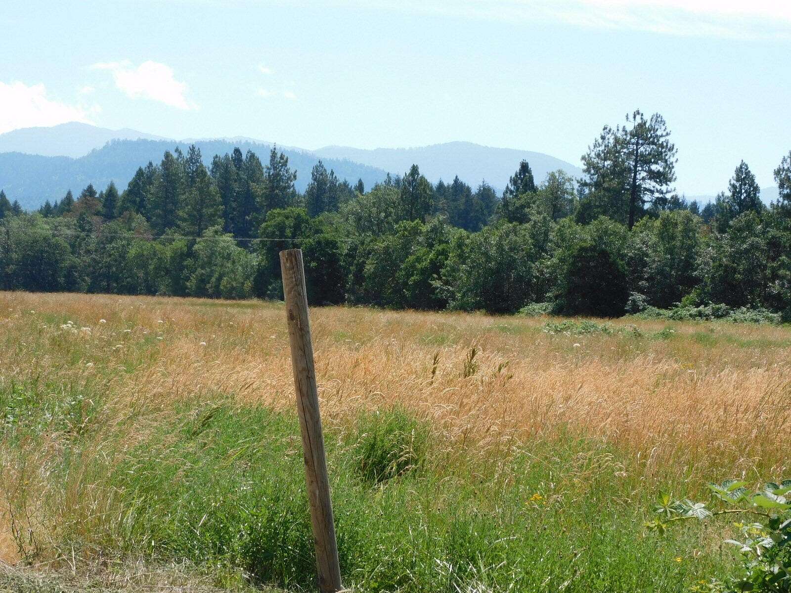 43.6 Acres of Land with Home for Sale in Cave Junction, Oregon