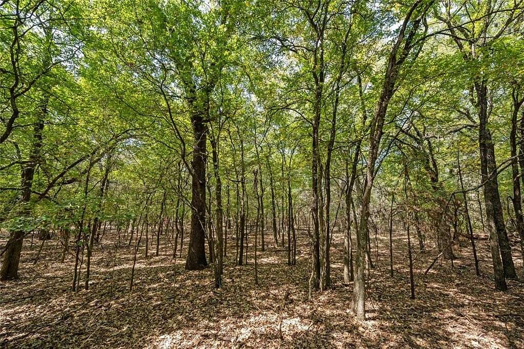 20 Acres of Land for Sale in Aquilla, Texas