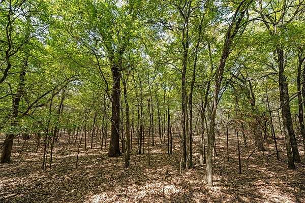 20 Acres of Land for Sale in Aquilla, Texas