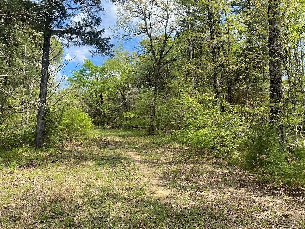 48.9 Acres of Recreational Land for Sale in Bogata, Texas
