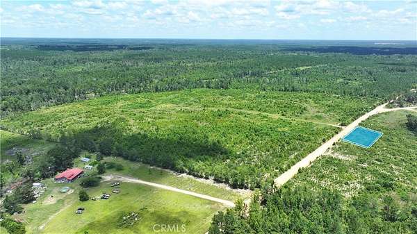 1 Acre of Land for Sale in Alamo, Georgia
