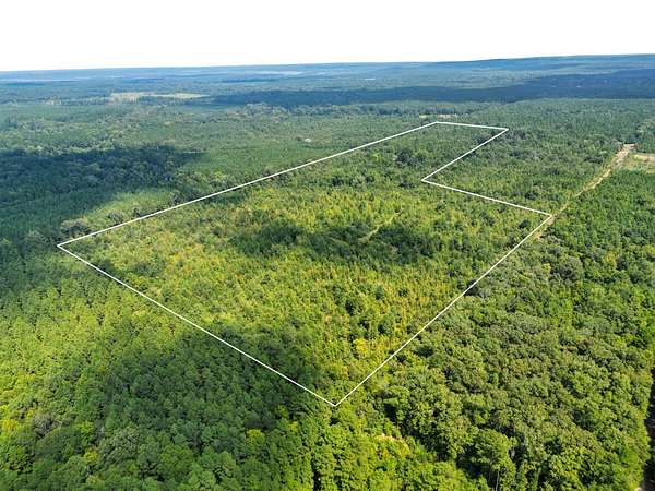 50 Acres of Recreational & Residential Land for Sale in Castor, Louisiana