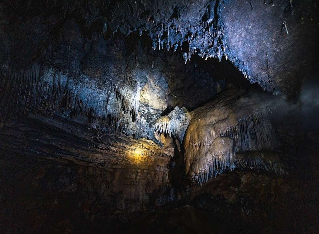 116 Acres of Land for Sale in Winona, Missouri