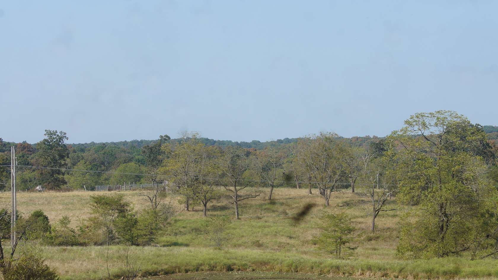 92 Acres of Land for Sale in Ash Flat, Arkansas