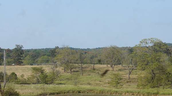 92 Acres of Land for Sale in Ash Flat, Arkansas