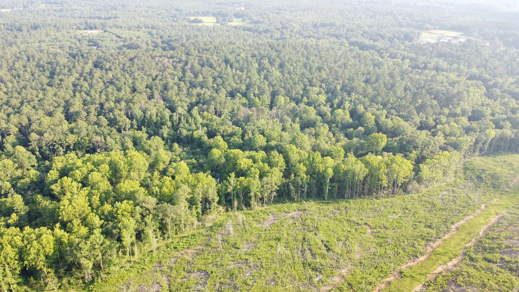 420 Acres of Recreational Land for Sale in Talladega, Alabama