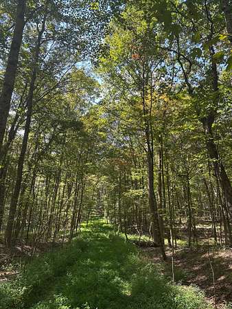 1.3 Acres of Land for Sale in Tracy City, Tennessee