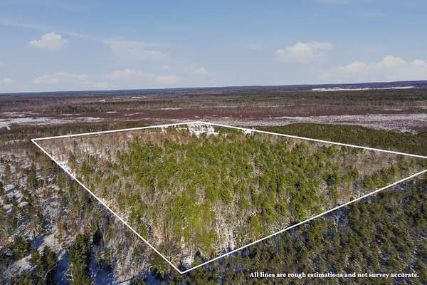 78 Acres of Land with Home for Sale in Bitely, Michigan