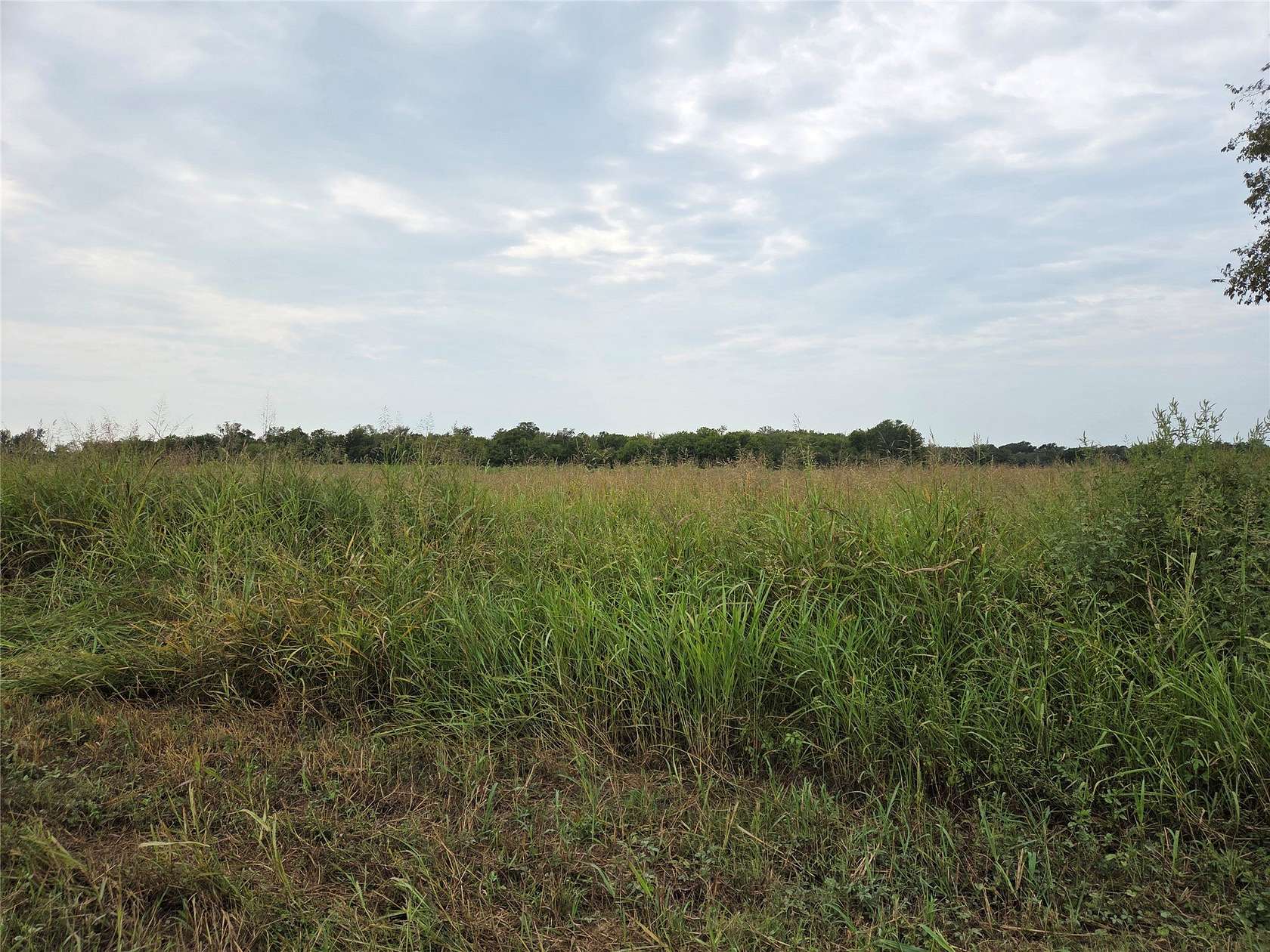 3 Acres of Residential Land for Sale in Honey Grove, Texas