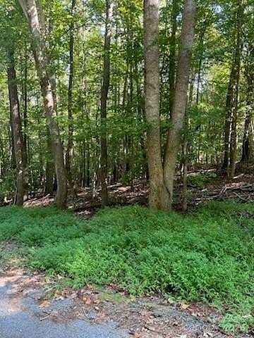 63.8 Acres of Recreational Land for Sale in Union, South Carolina