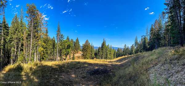 1.72 Acres of Residential Land for Sale in St. Maries, Idaho