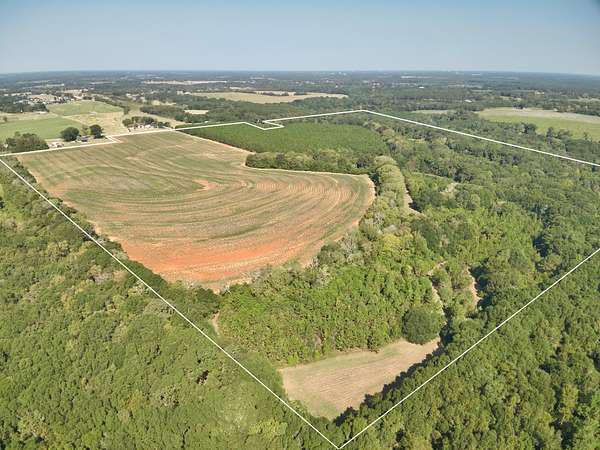 155 Acres of Recreational Land & Farm for Sale in Daleville, Alabama