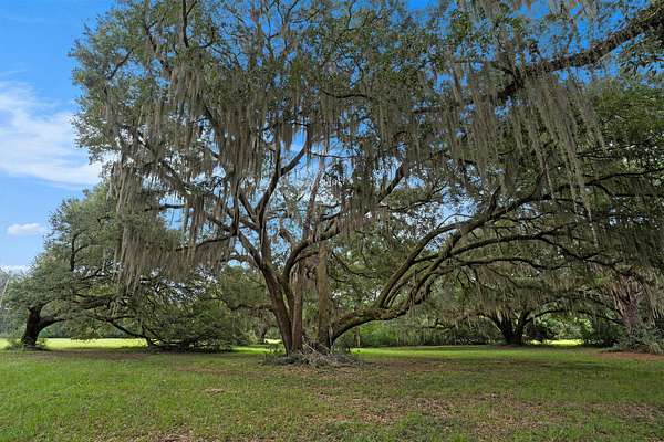 7.12 Acres of Residential Land for Sale in Meggett, South Carolina