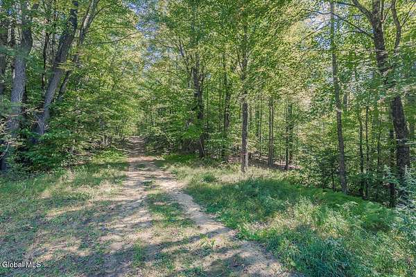 51 Acres of Recreational Land for Sale in Galway, New York