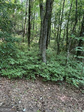 2 Acres of Land for Sale in Dillard, Georgia