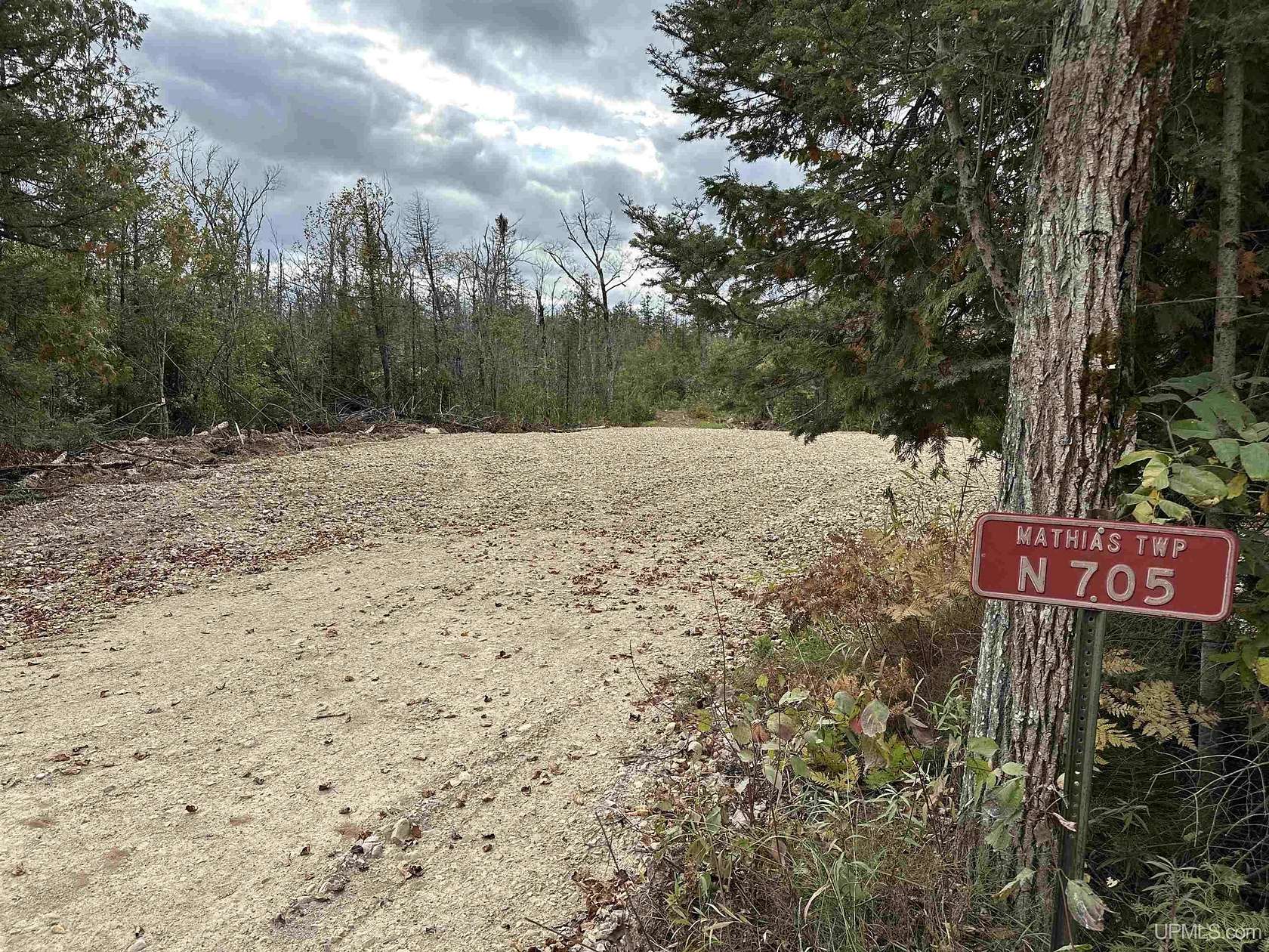 40 Acres of Recreational Land for Sale in Trenary, Michigan