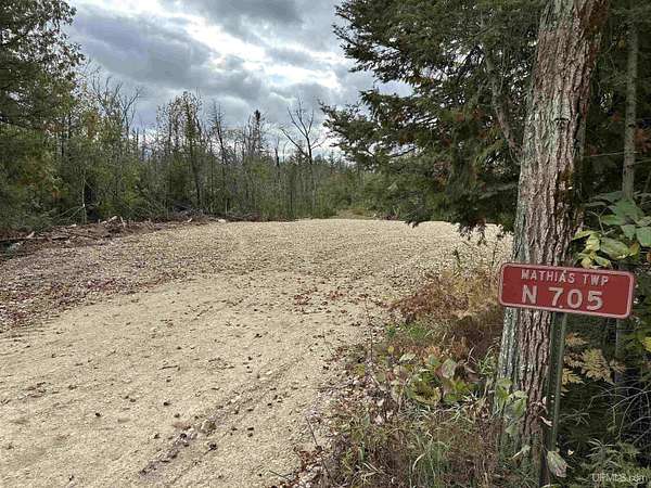 40 Acres of Recreational Land for Sale in Trenary, Michigan