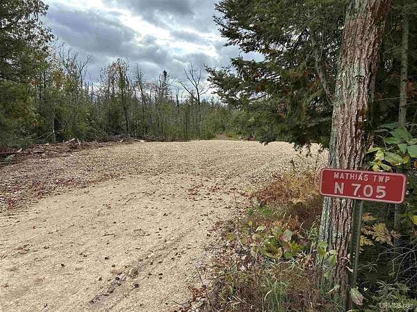 40 Acres of Recreational Land for Sale in Trenary, Michigan