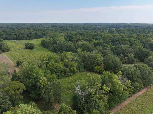 58.6 Acres of Recreational Land for Sale in Wynne, Arkansas